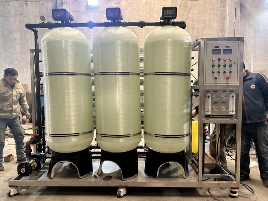Reverse Osmosis Borehole Well Seawater Salt Water Desalination System 3000LPH